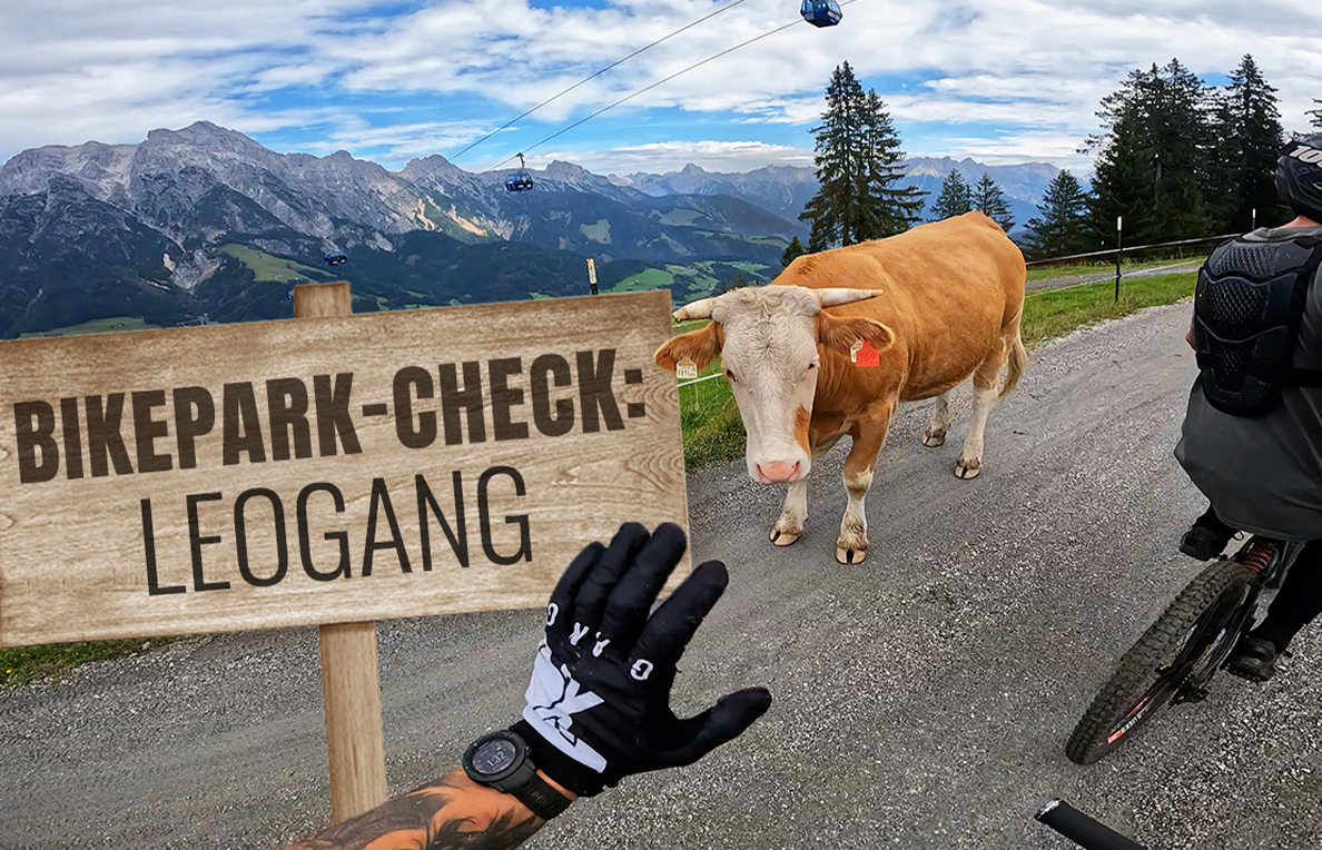 Bikepark-Check Leogang